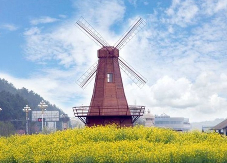 蘇州拓展基地-太湖花海